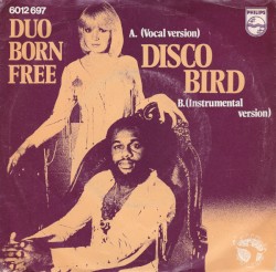 Disco Bird