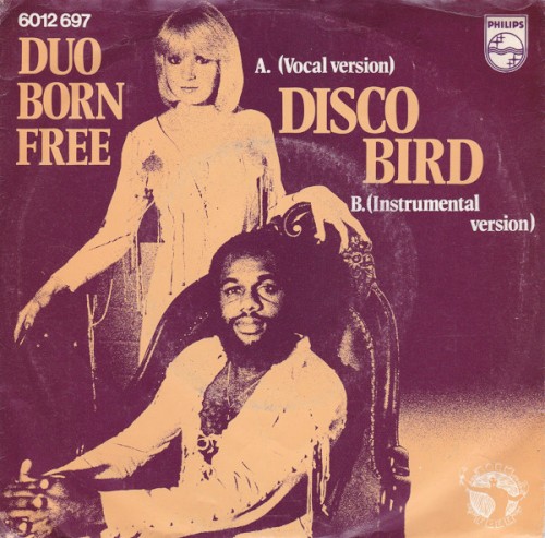 Disco Bird