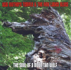 The Soul of a Mountain Wolf