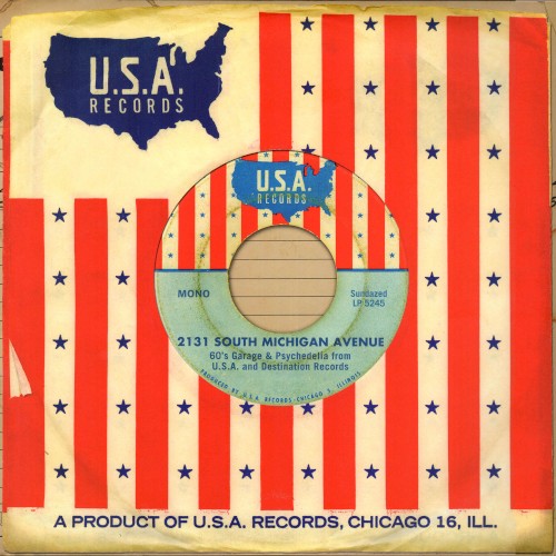 2131 South Michigan Avenue: 60's Garage & Psychedelia from U.S.A. and Destination Records