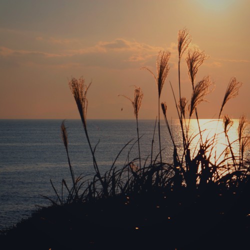 Hayama Ambient 026