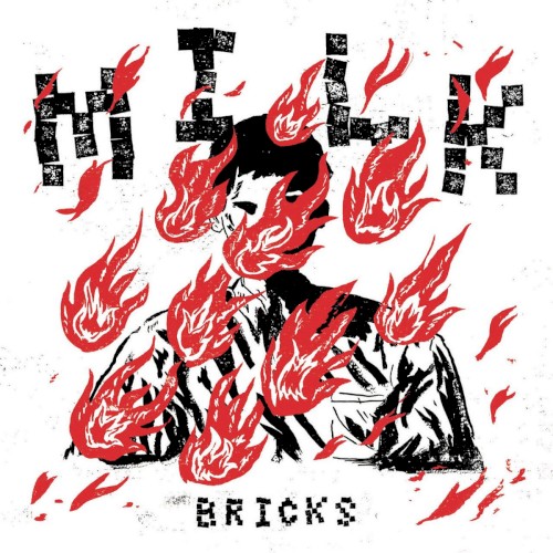 Bricks