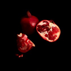 Ambrosia