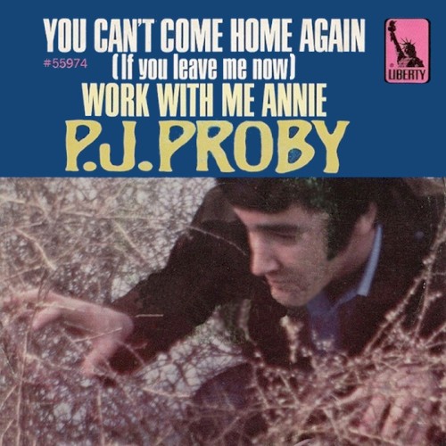 You Can’t Come Home Again / Work with Me Annie