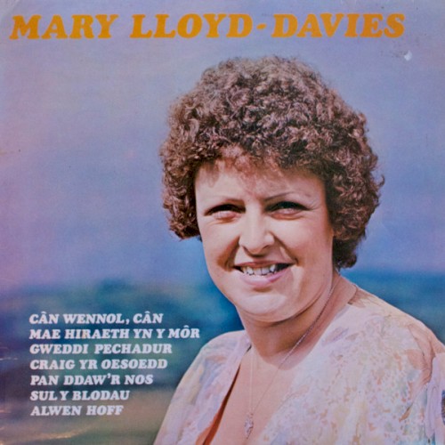Mary Lloyd‐Davies
