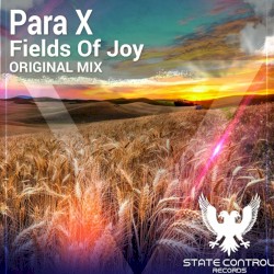 Fields Of Joy