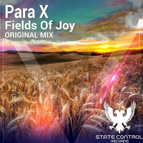 Fields Of Joy