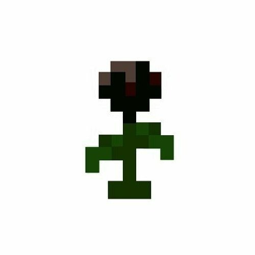 wither rose