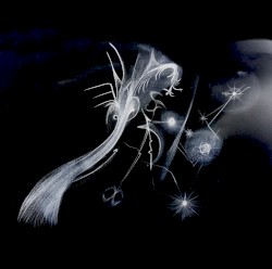 Fae Transit