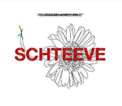 Schteeve