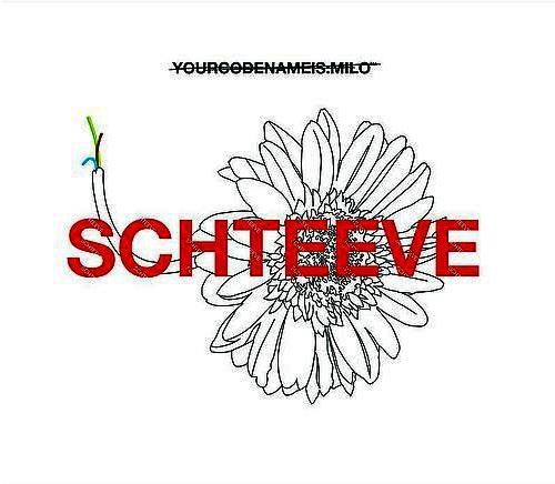 Schteeve
