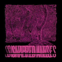 Forest Of Your Problems (Parasite Sessions)