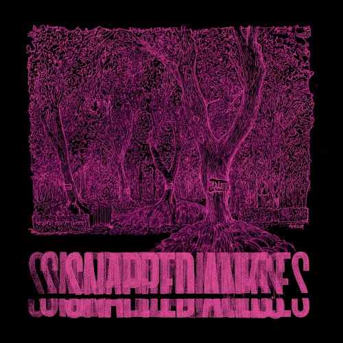 Forest Of Your Problems (Parasite Sessions)