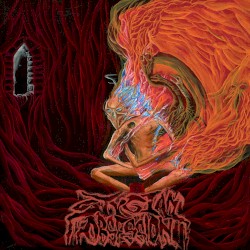 Form Is Void