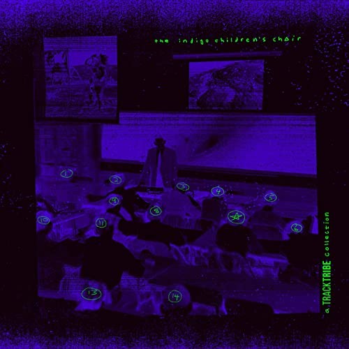 The Indigo Children's Choir