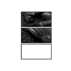 Ballade for a Crow Moon