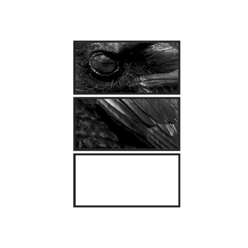 Ballade for a Crow Moon