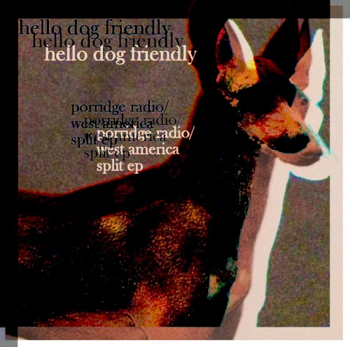 Hello Dog Friendly