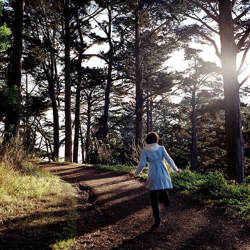 友の森 Forest of Friends