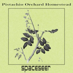 Pistachio Orchard Homestead