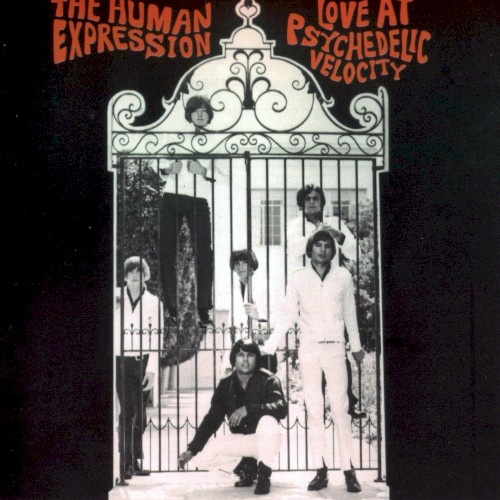 Love at Psychedelic Velocity