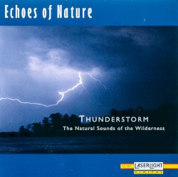Echoes of Nature: Thunderstorm