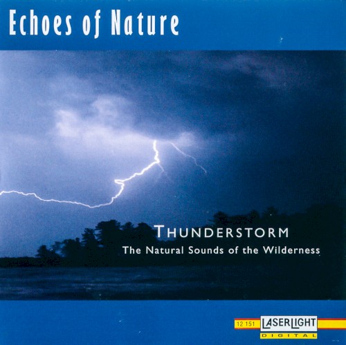 Echoes of Nature: Thunderstorm