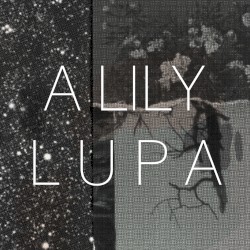 Lupa
