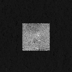 Elmhurst Dub / Anymore