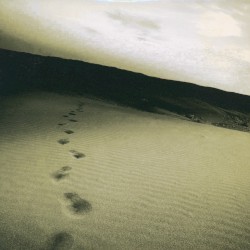 if/search for・・・e.p.