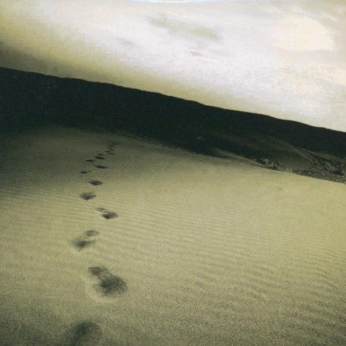if/search for・・・e.p.