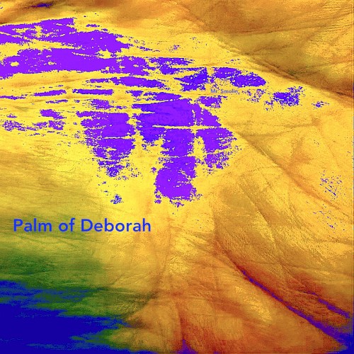 Palm of Deborah