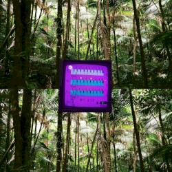Inversions