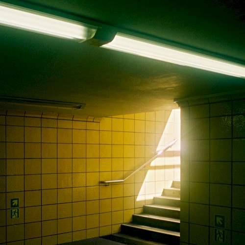 The Way