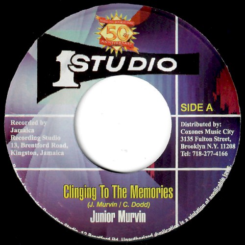 Clinging To The Memories / Clinging To The Memories (Ver)