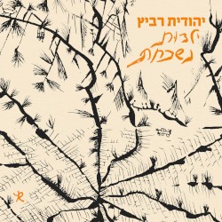ילדות נשכחת