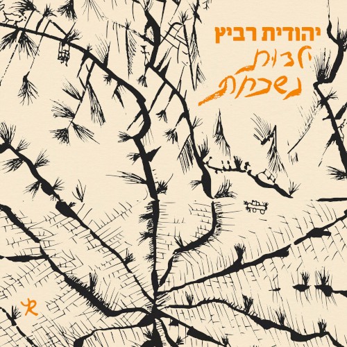 ילדות נשכחת