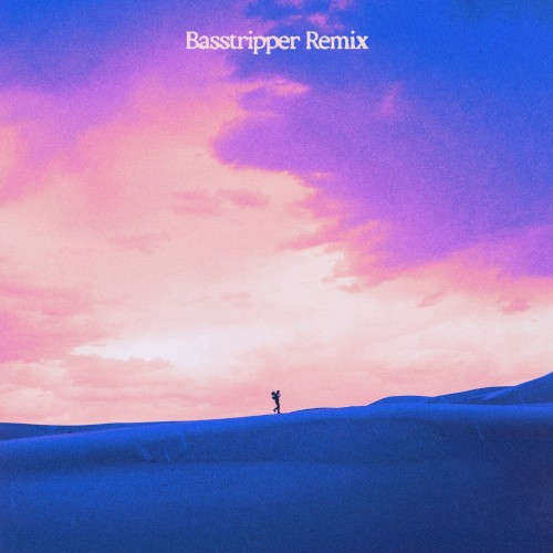 Hell in High Heels (Basstripper remix)