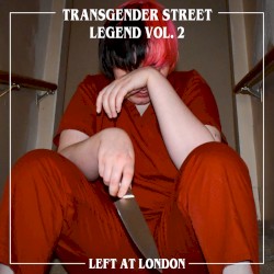 Transgender Street Legend, Vol. 2