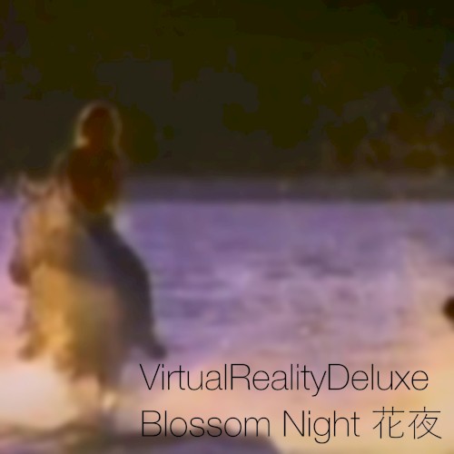 Blossom Night 花夜