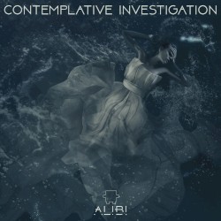 Contemplative Investigations