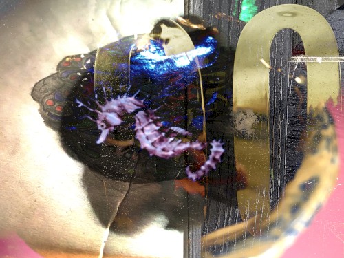 Freeroam 166 :: Real-Light Relations From the Second Meeting Which Now Achieved Near Doubleweek Transcendence XXXIV -- "the meowers"