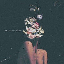 immortal (Snakehips remix)