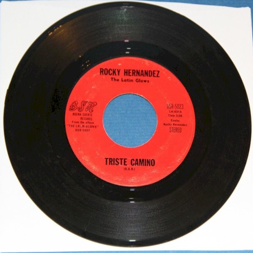 Triste camino / Para que me enamore