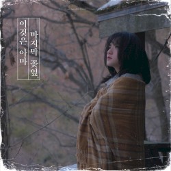이것은 아마 마지막 꽃잎
