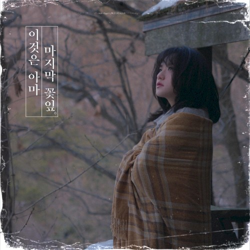 이것은 아마 마지막 꽃잎
