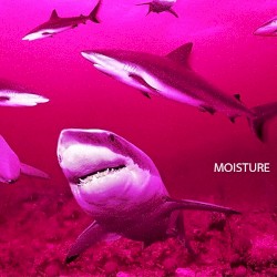 M(o)Isture