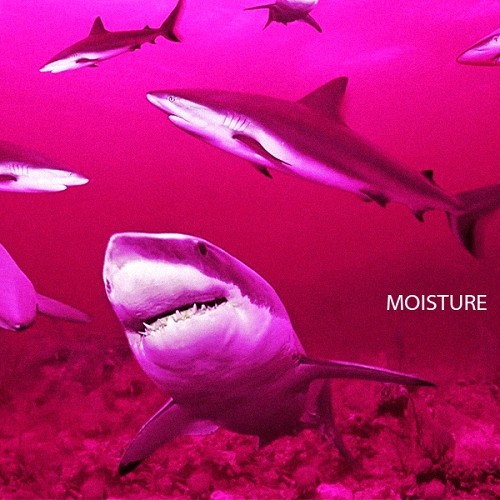 M(o)Isture