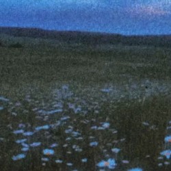 eternal sleep