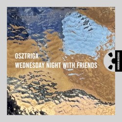 Wednesday Night With Friends